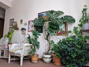 Tamari Guest House